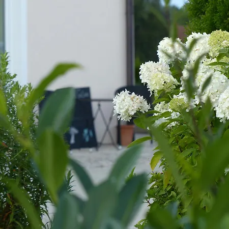 Sana E Salva Eckersdorf